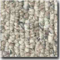 Simple Looped Berber Carpet