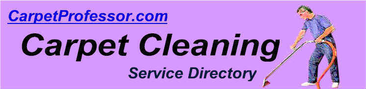 Carpet Professor's Best Carpet Cleaning Service Companies