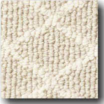 Patterned Loop Berber carpet