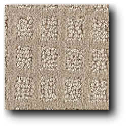 Cut and Loop Berber Carpet