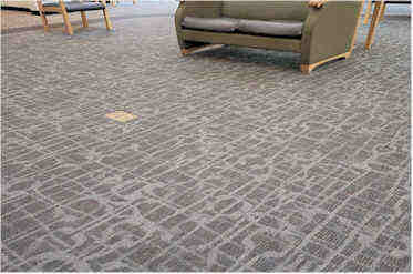 Commercial Grade Carpet