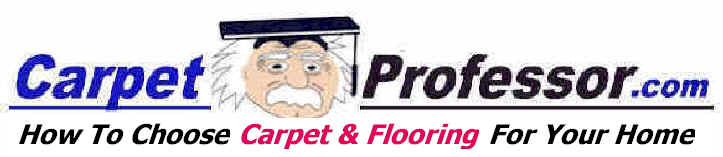 Carpet Professor Homepage