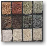 Carpet Sample Swatches - Carpetprofessor.com